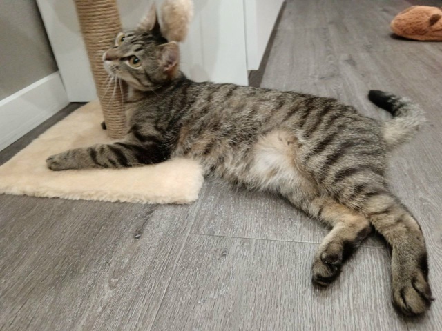 Я вытащил счастливый билетик, меня очень любят и уважают) 😻