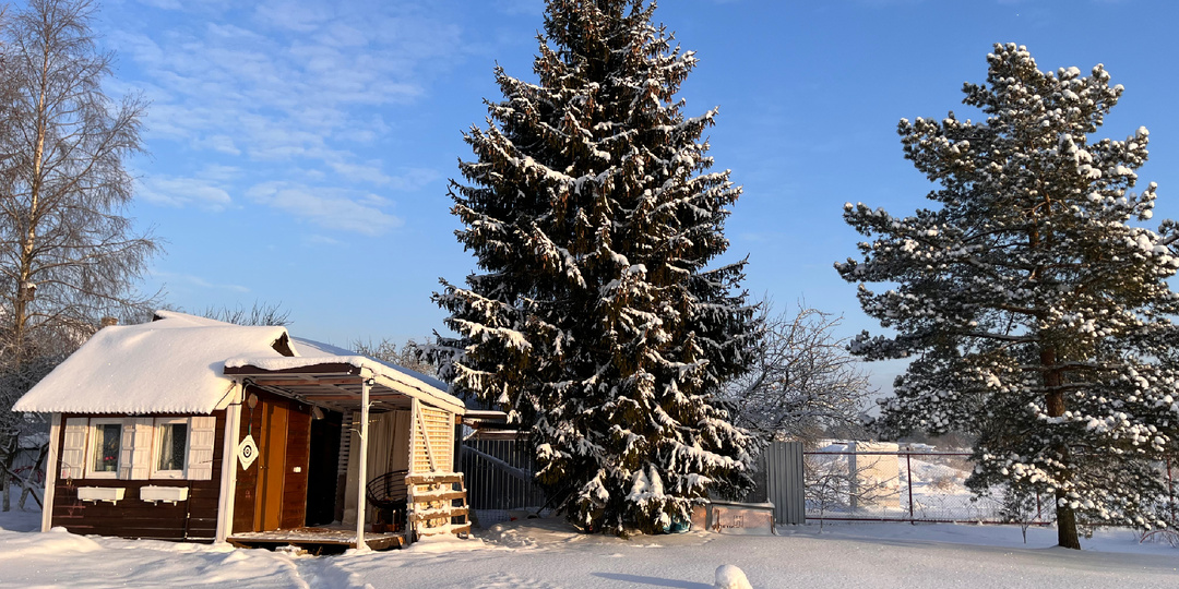 Если вы мечтаете о своем доме или у вас уже есть дом, то эта статья для вас