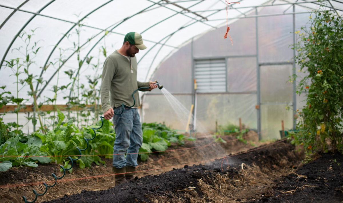     Zoe Richardson/Unsplash