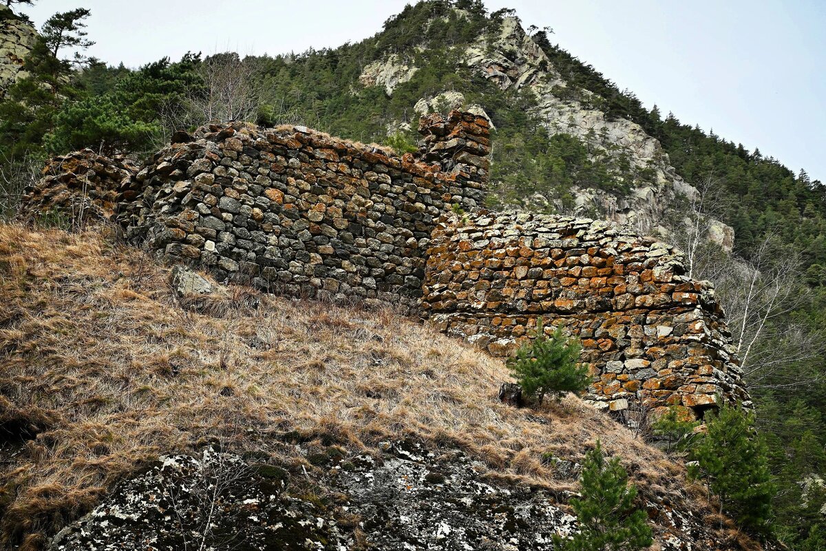    Фото: t.me/v_totraty