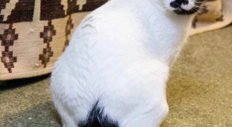 Встречала гостей и в каждом надеялась найти свою судьбу. История Чарли.