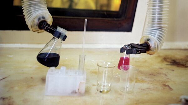    © РИА Новости . Борис Ушмайкин