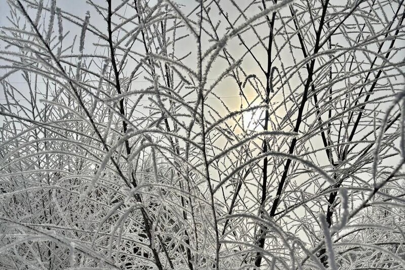    Фото: Богдана Чубарова Валерия Стальная