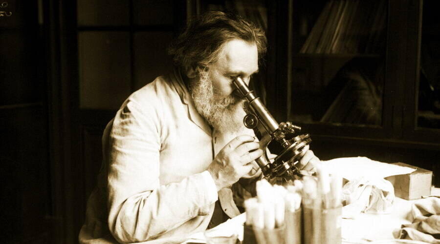    Учёный за работой в своём кабинете, 1913 год Фото: общественное достояние