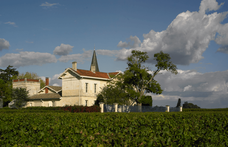 Виноградники Château Latour à Pomerol. Pomerol AOC, Бордо, Франция