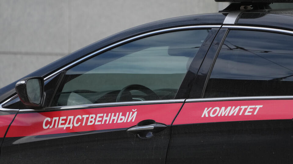     СК возбудил дело после попытки сотрудников рехаба упечь туда журналиста РЕН ТВ ИЗВЕСТИЯ/Дмитрий Коротаев