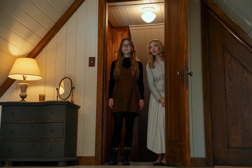 Кадр из фильма Горничная. Источник: kinopoisk.ru