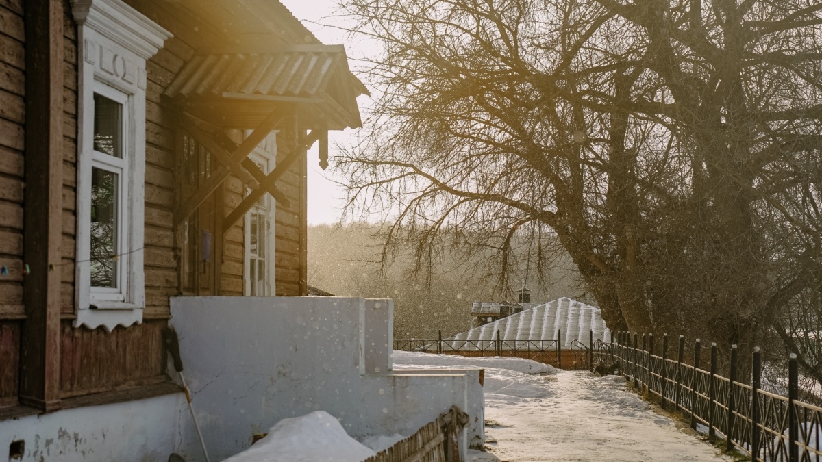 Светлана Мулыкина📷
