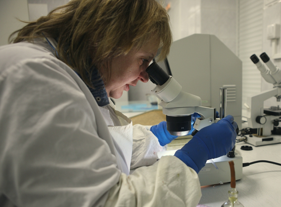    Alexey Porokhovnikov/Russian Look