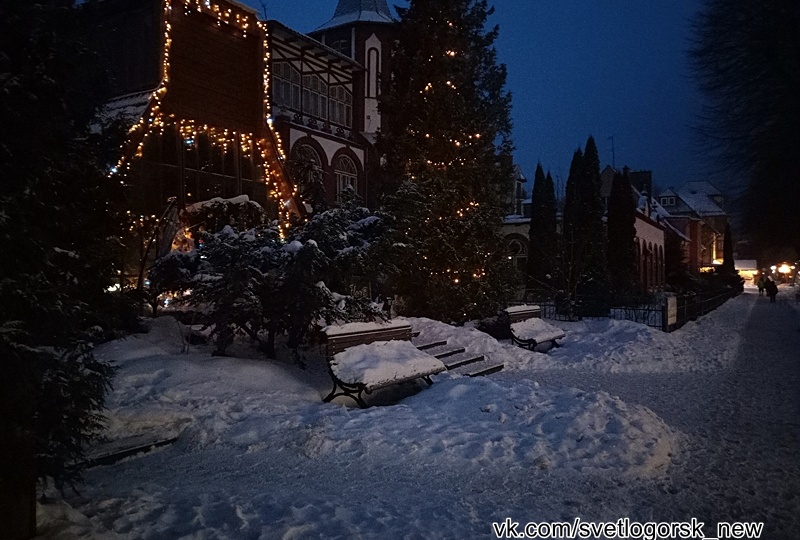 Светлогорск курортный: вечер, снег, голова лисы и фонари
