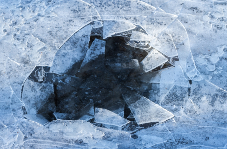    Shutterstock/FOTODOM