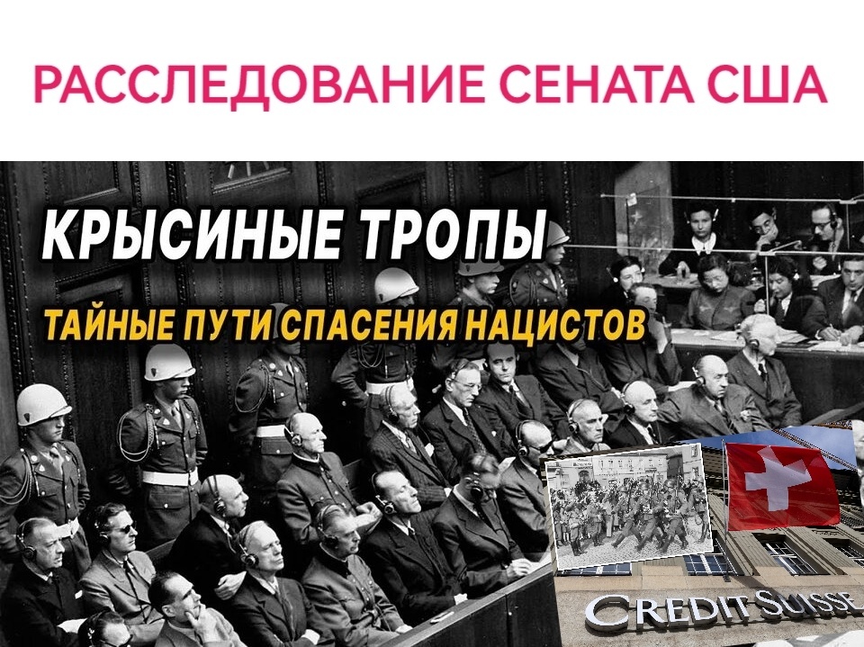 Подписывайтесь на наш канал "Нарполит" и не упустите свежие политические тренды!