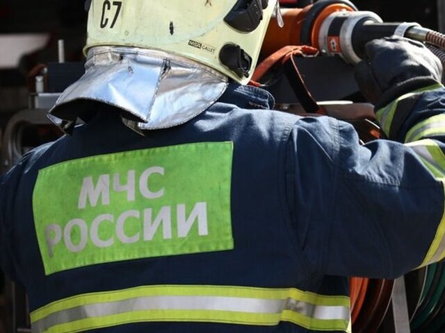    Фото: портал мэра и правительства Москвы