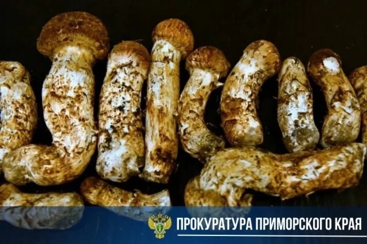    Гражданин КНР осуждён на 2,5 года в Приморье