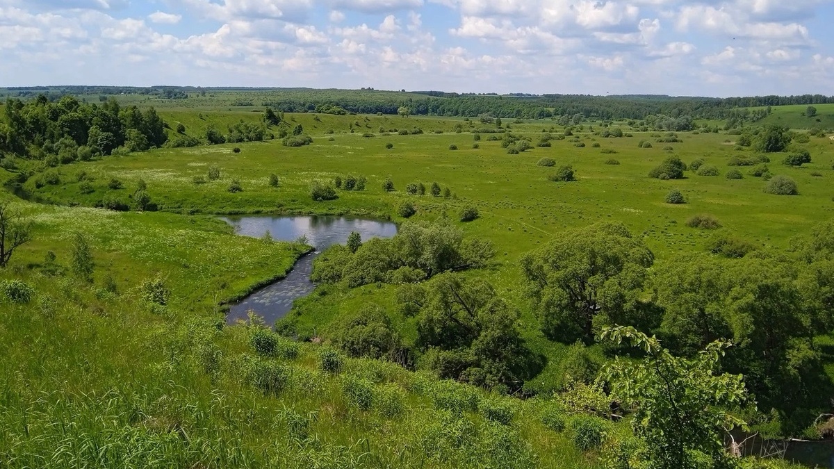 Бежин луг в Тульской области
