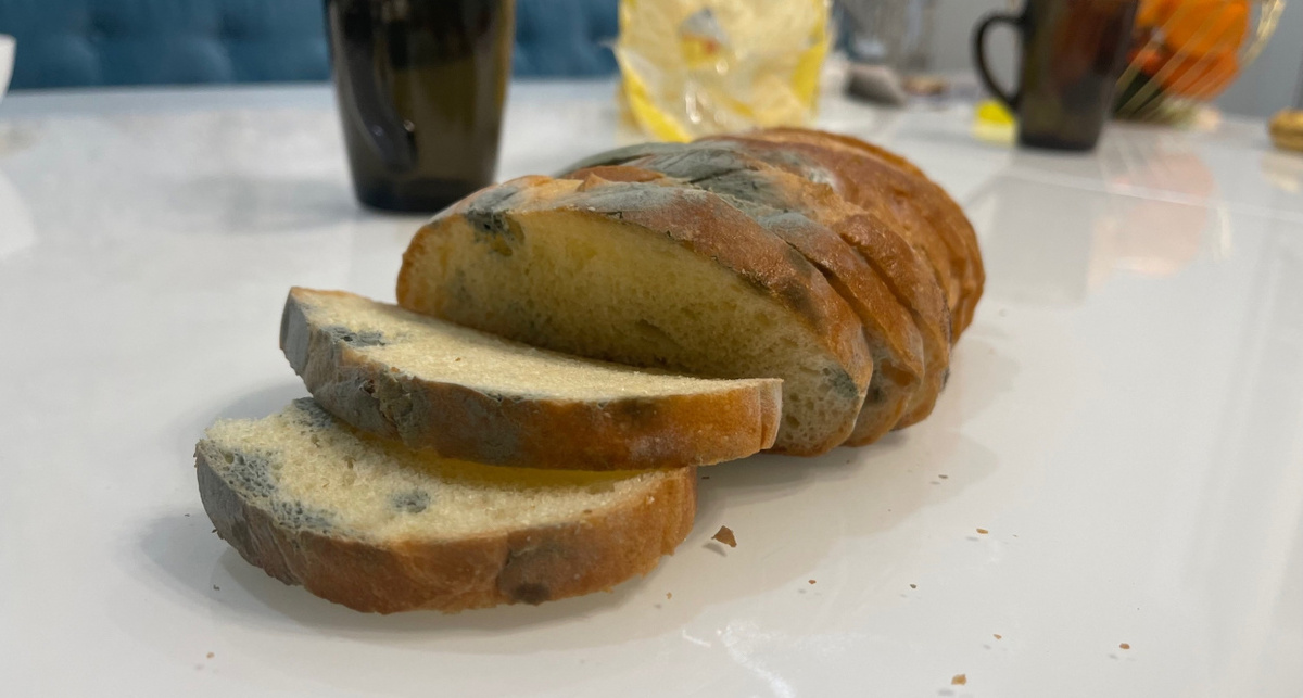    Фото: ПроГород