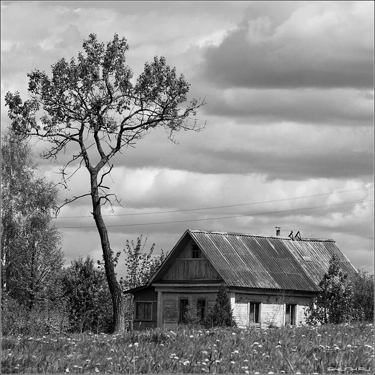 Взято из открытых источников интернета Яндекс.