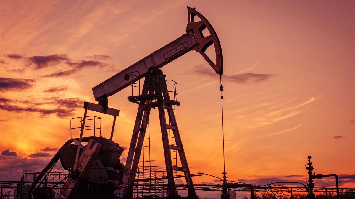    Фото: ded pixto / Shutterstock / Fotodom