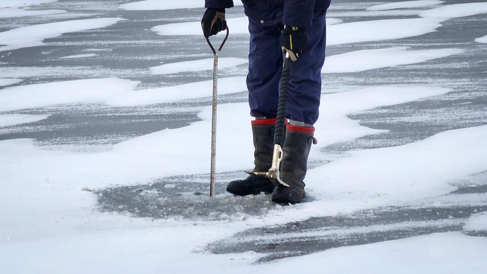    МедиаБанк Подмосковья/Ольга Антонова
