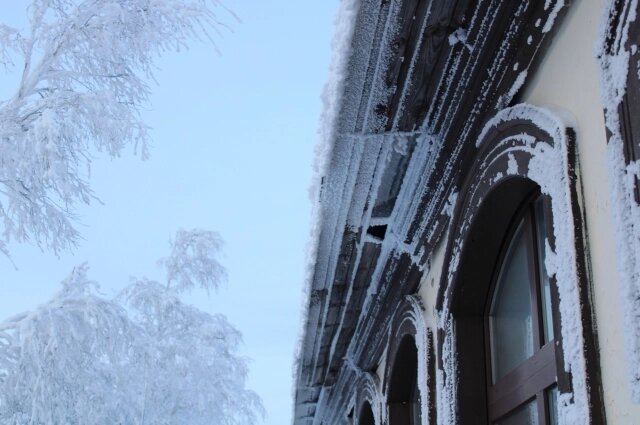    Фото: АиФ/ Евгения Гаева