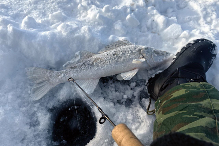    Фото Михаила Пермина для VN.ru