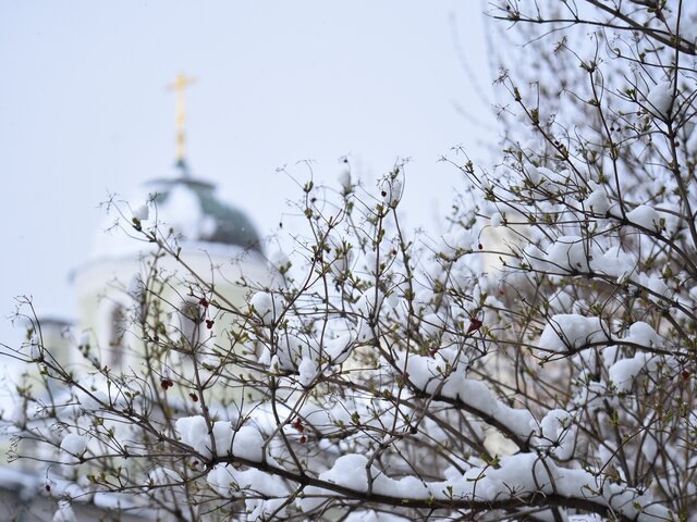    Фото: Москва 24/Никита Симонов