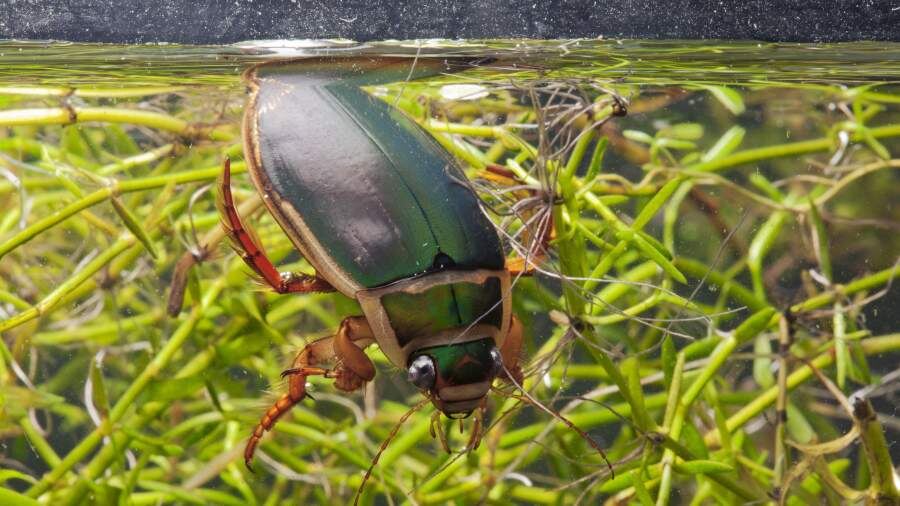    Фото: Global Look Press/Richard Winn