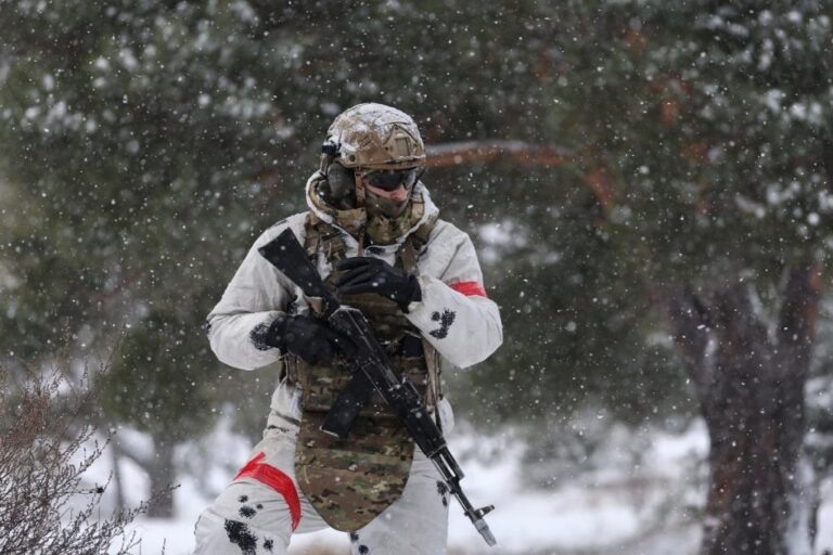    Фото: Министерство обороны России Дарья Иванова