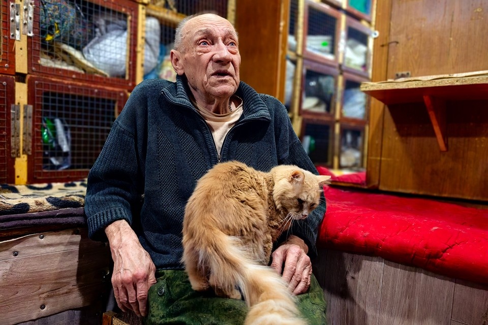    Первую кошку Владимир Рябуха приютил 13 лет назад. С этого все и началось. Юлия АНДРИЕНКО