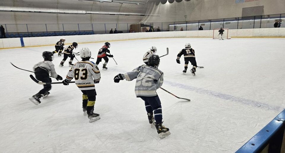    МедиаБанк Подмосковья/Ольга Вельшикаева