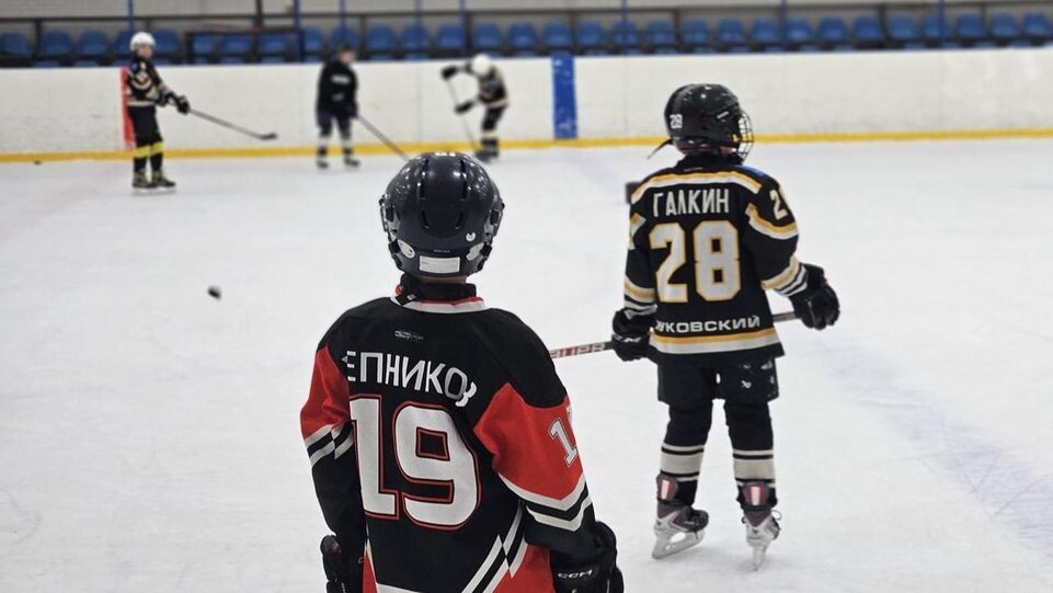     МедиаБанк Подмосковья / Ольга Вельшикаева