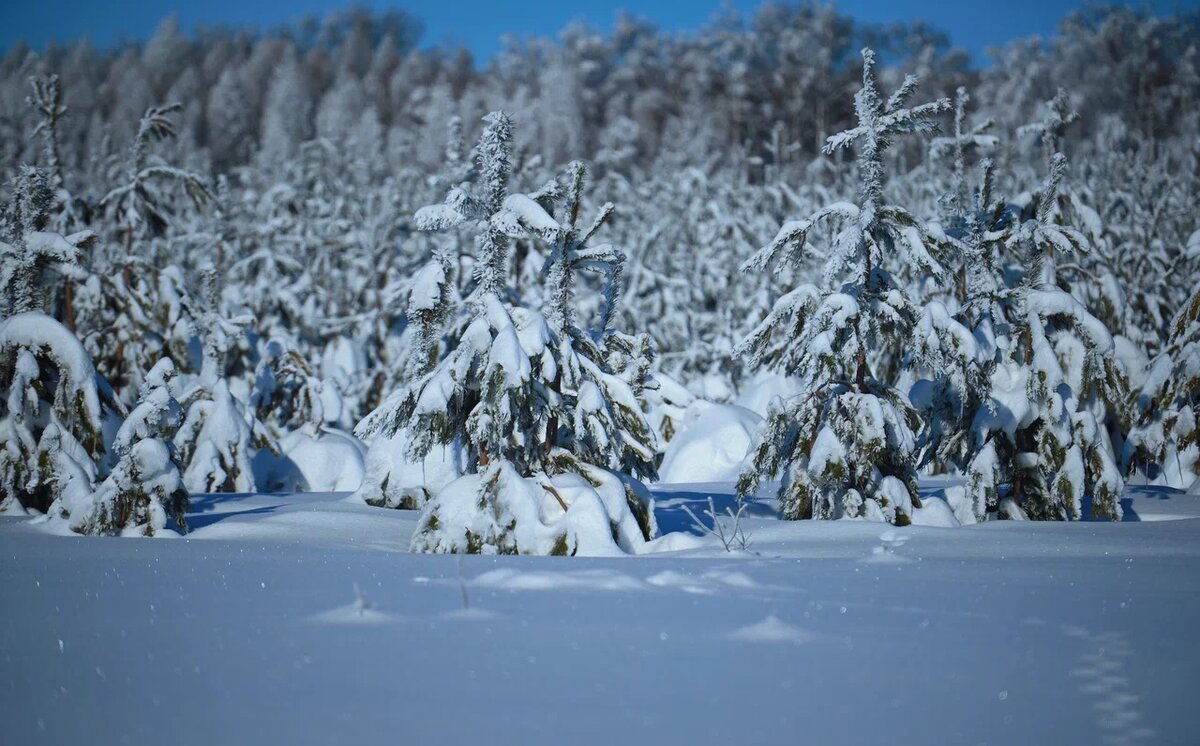    Фото: Олег Рукавицын