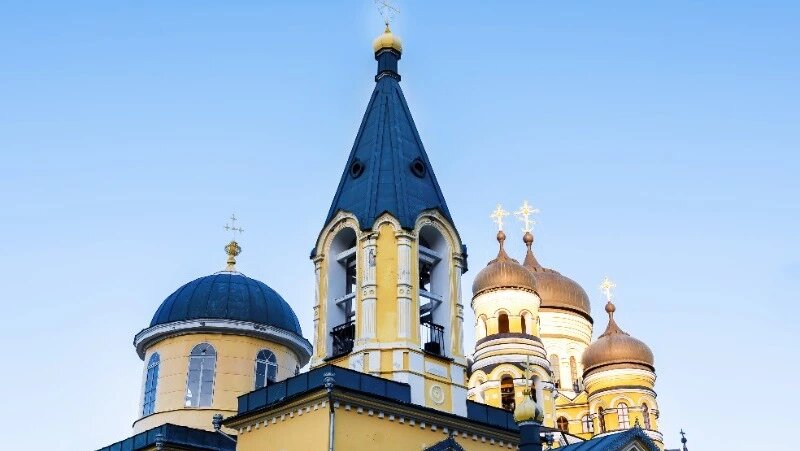      Фото: @frimufilms / ru.freepik.com