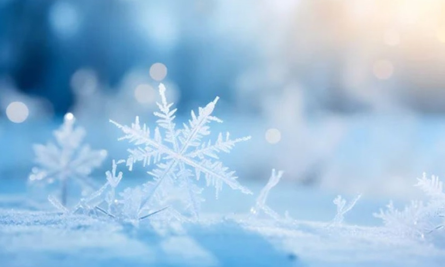 Морозы и метели: синоптики предупредили о резком похолодании