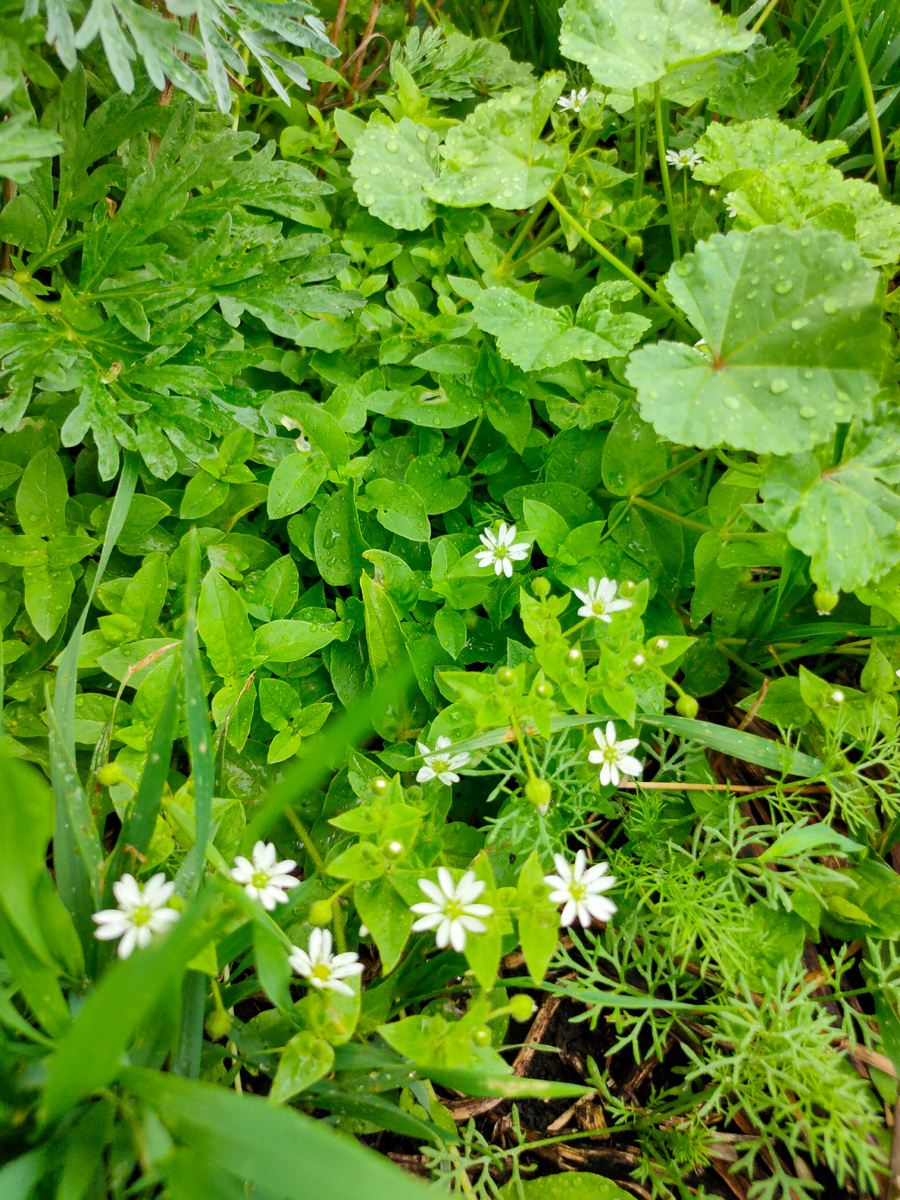 Все фотографии в публикации личные