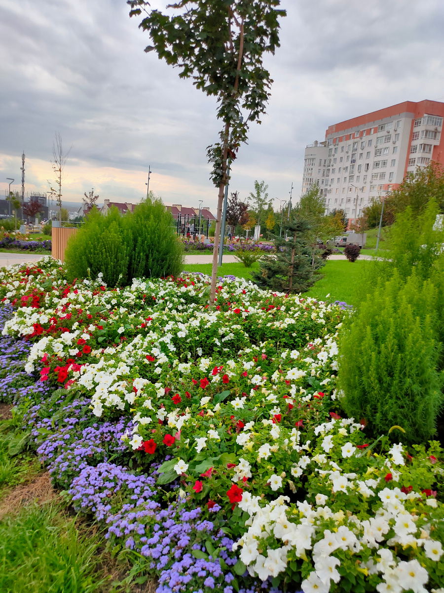 Сейчас цветочки спят