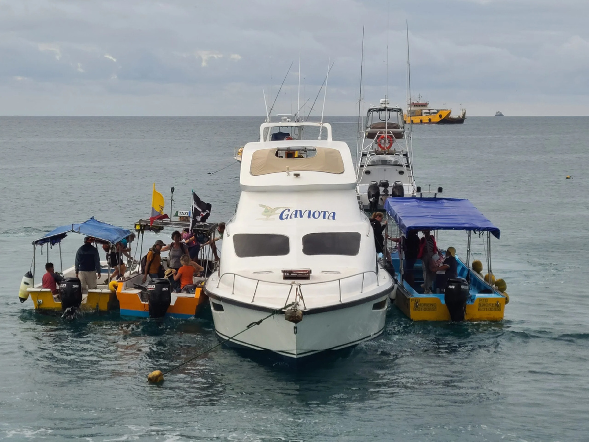 Высадка и посадка