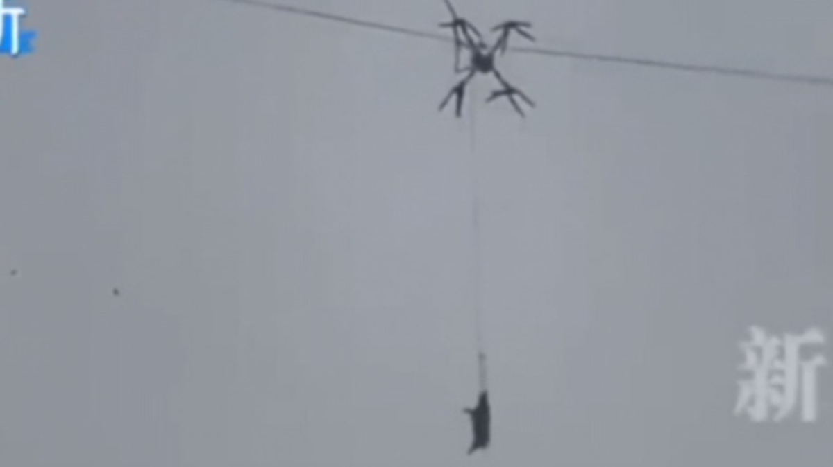  на месте происшествия. фото: яндекс.