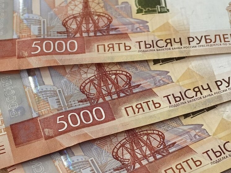     Подозреваемого в краже 132 миллионов рублей на поставках авто задержали в Приморье / Ольга Замятина