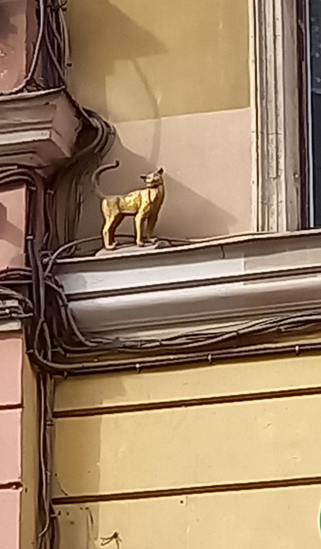 Статуя кошке Василисе в Санкт-Петербурге 