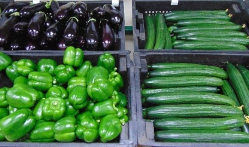    Фото сайта Минсельхоза России admin