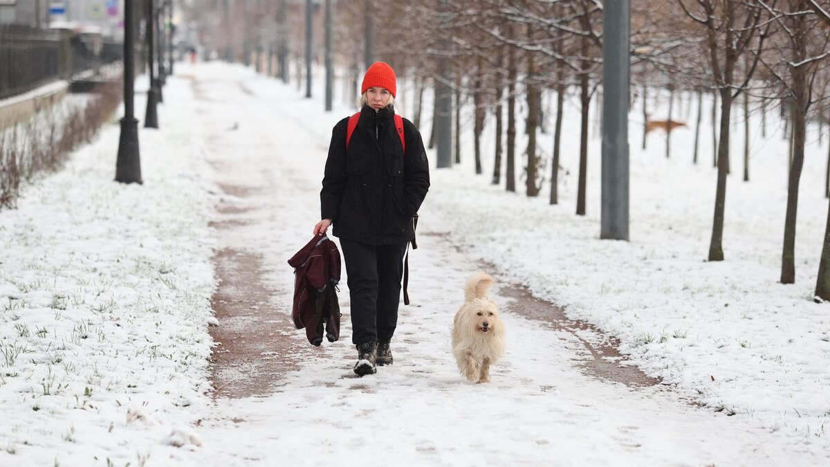   Фото: ИЗВЕСТИЯ/Валентин Егоршин