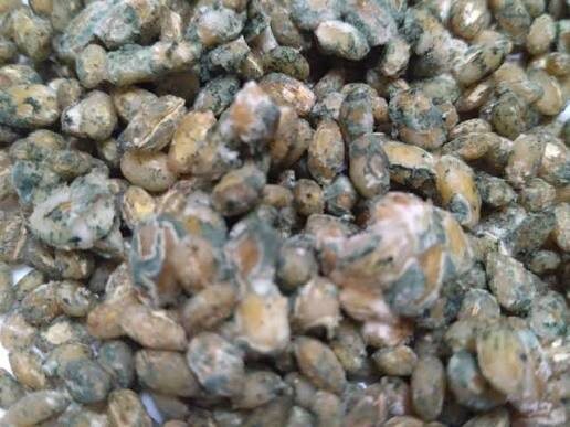 Инструкция по применению!