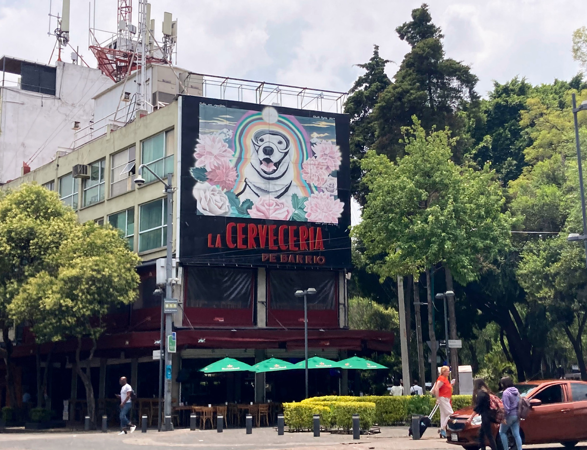 Изображение Фриды в Мехико. Источник: Википедия