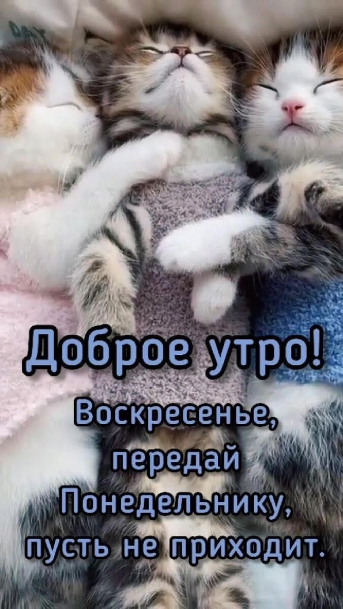 Фото из открытых источников. 