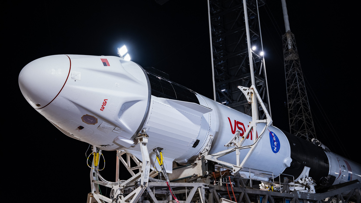 Фото SpaceX  📷
