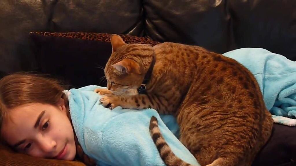 Фотография из интернета