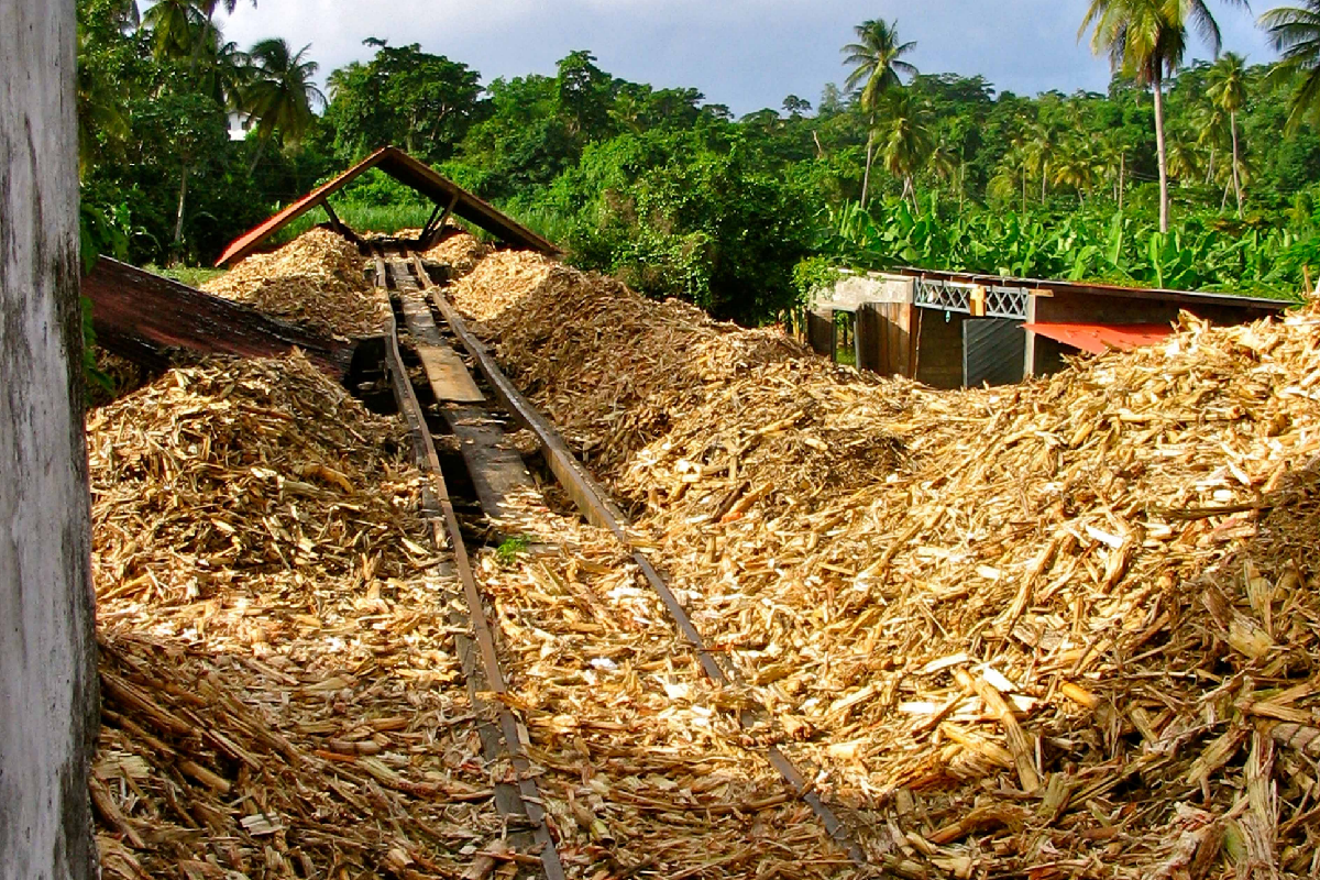 Кто намусорил?