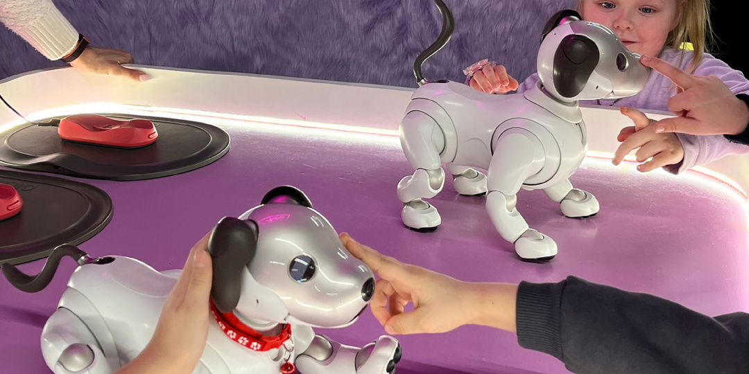 Выставка роботов «Город будущего» в Санкт-Петербурге