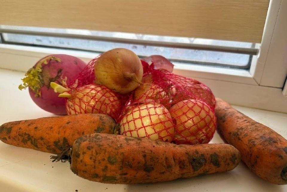    В Ростовской области специалисты Ростовстата зафиксировали рост цен на овощи. Марина ЮРЬЕВА